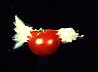[tomato smashed by a .22 caliber bullet impact]