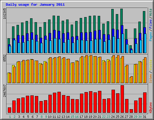 Daily usage for January 2011