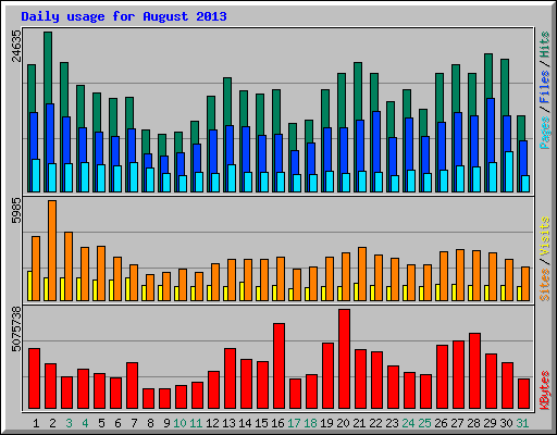 Daily usage for August 2013