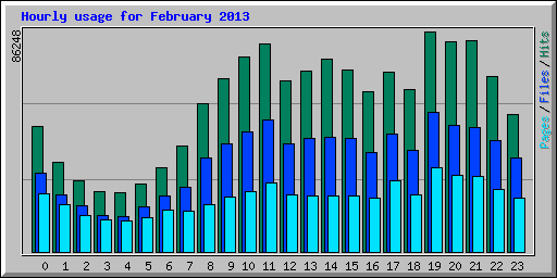 Hourly usage for February 2013